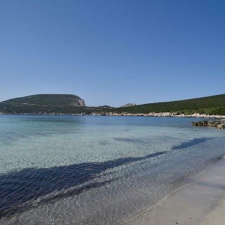 Villa Margherita Αλγκέρο Εξωτερικό φωτογραφία