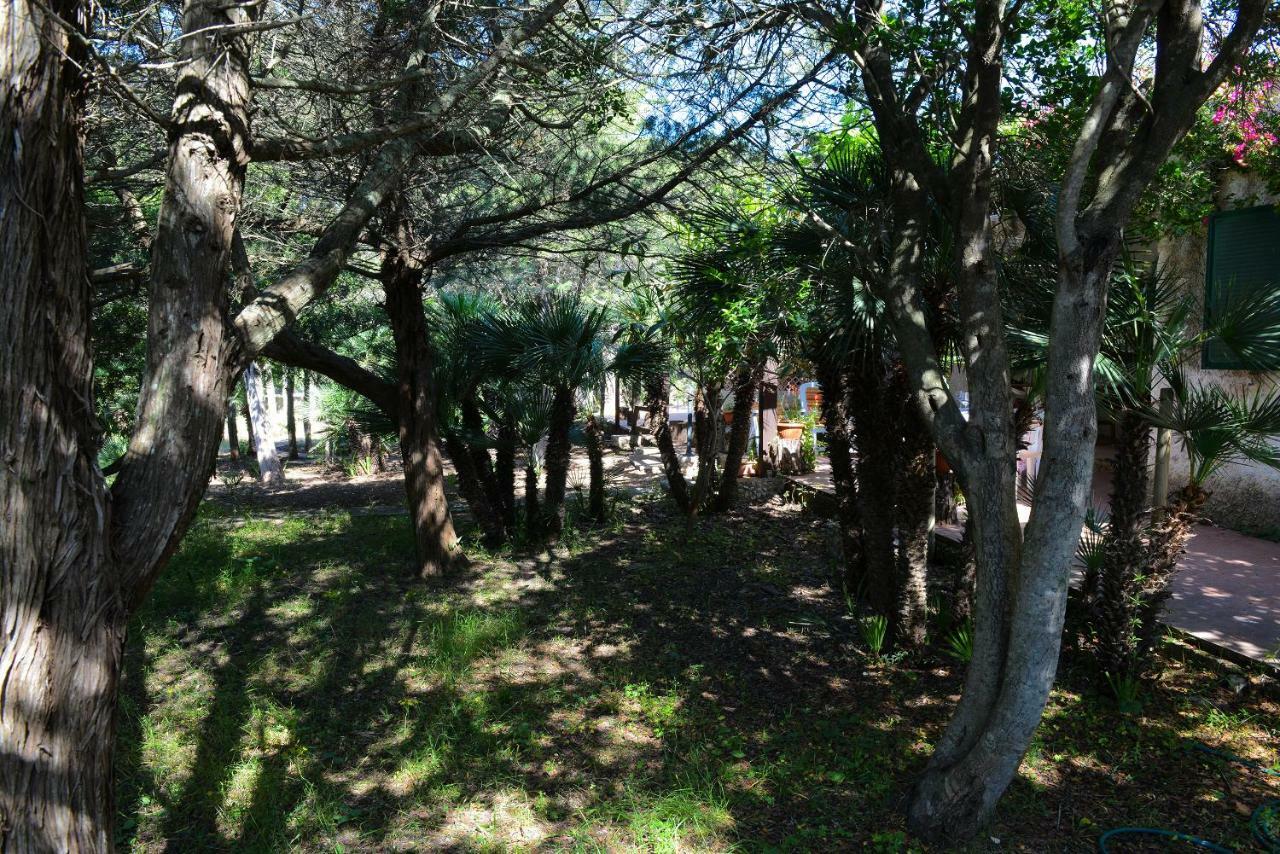 Villa Margherita Αλγκέρο Εξωτερικό φωτογραφία