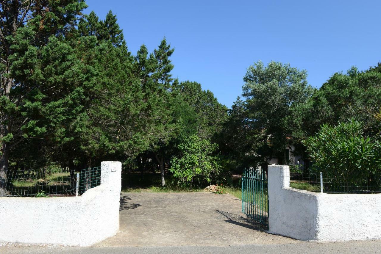 Villa Margherita Αλγκέρο Εξωτερικό φωτογραφία