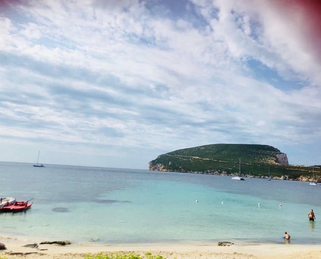 Villa Margherita Αλγκέρο Εξωτερικό φωτογραφία